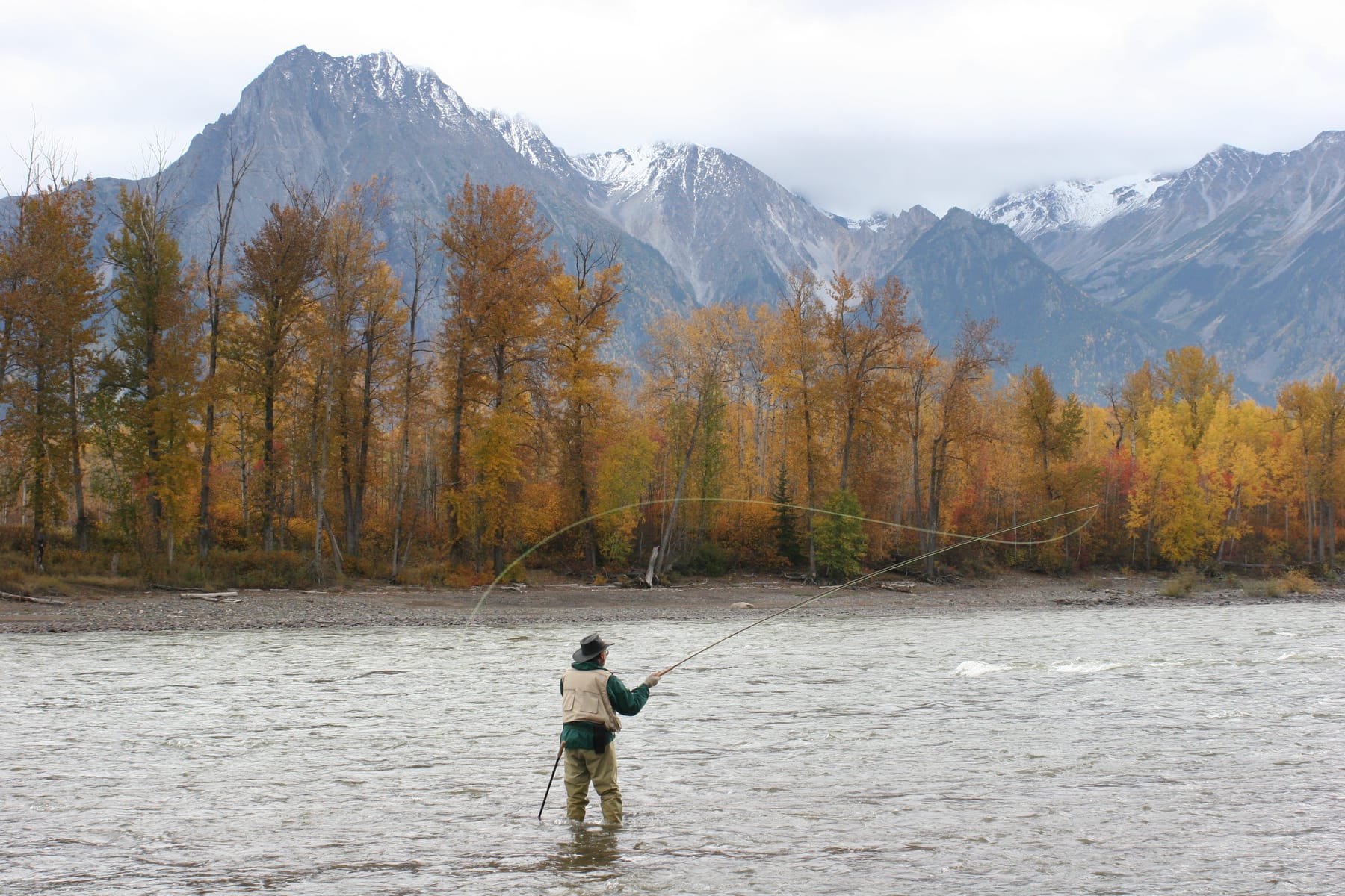 An angler in the Skeena River below autumn cottonwoods and snow covered peaks